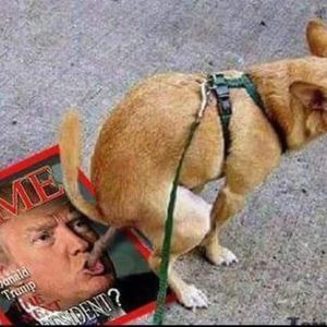 Meet your Posher, Max